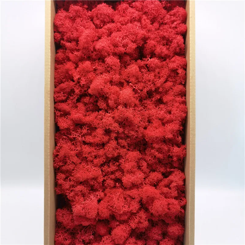 

Immortal Flower Natural Antiseptic Moss Painting Diy Material Crafts Preserved Wall Micro Landscape Dried Flowers Decoration