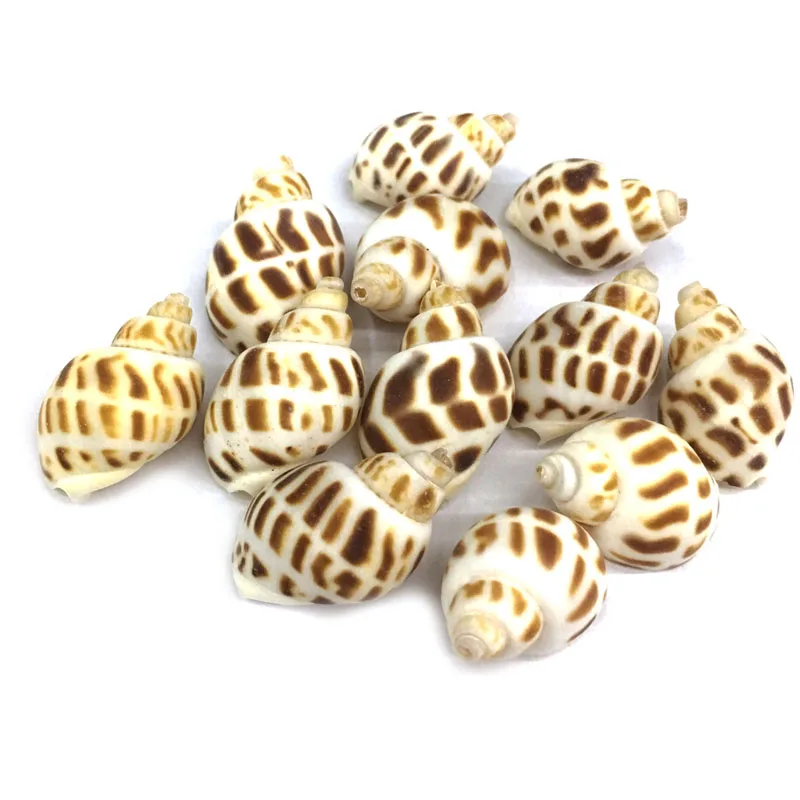 10 шт. подвески из натурального ракушка Подвески ожерелье подвеска для изготовления ювелирных изделий DIY браслет ожерелья Аксессуары размер 15x32мм