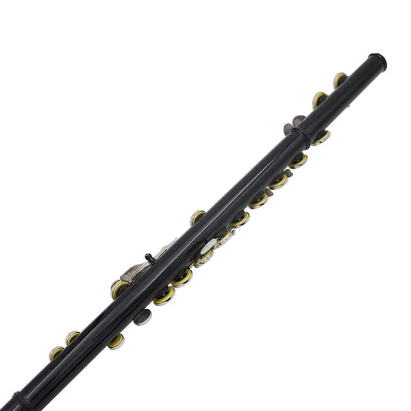 

Black LADE 16 Closed Holes C Tone Flute w/ Leather Case Set Flute Lover Gift