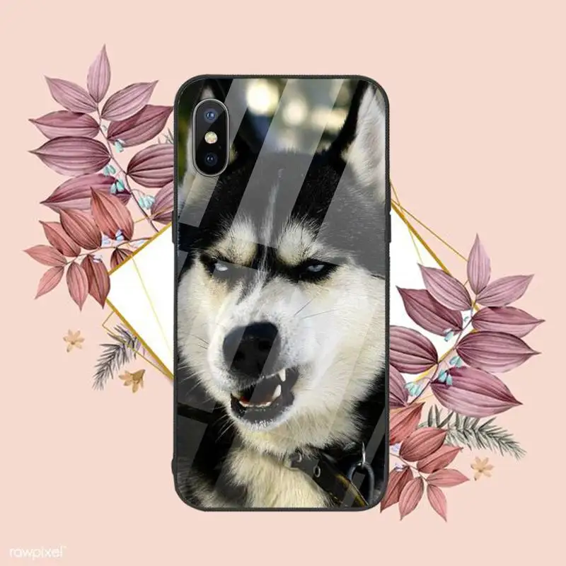 

Husky Phone Case Tempered glass For iphone 6 6S 7 8 plus X XS XR 11 12 mini PRO MAX