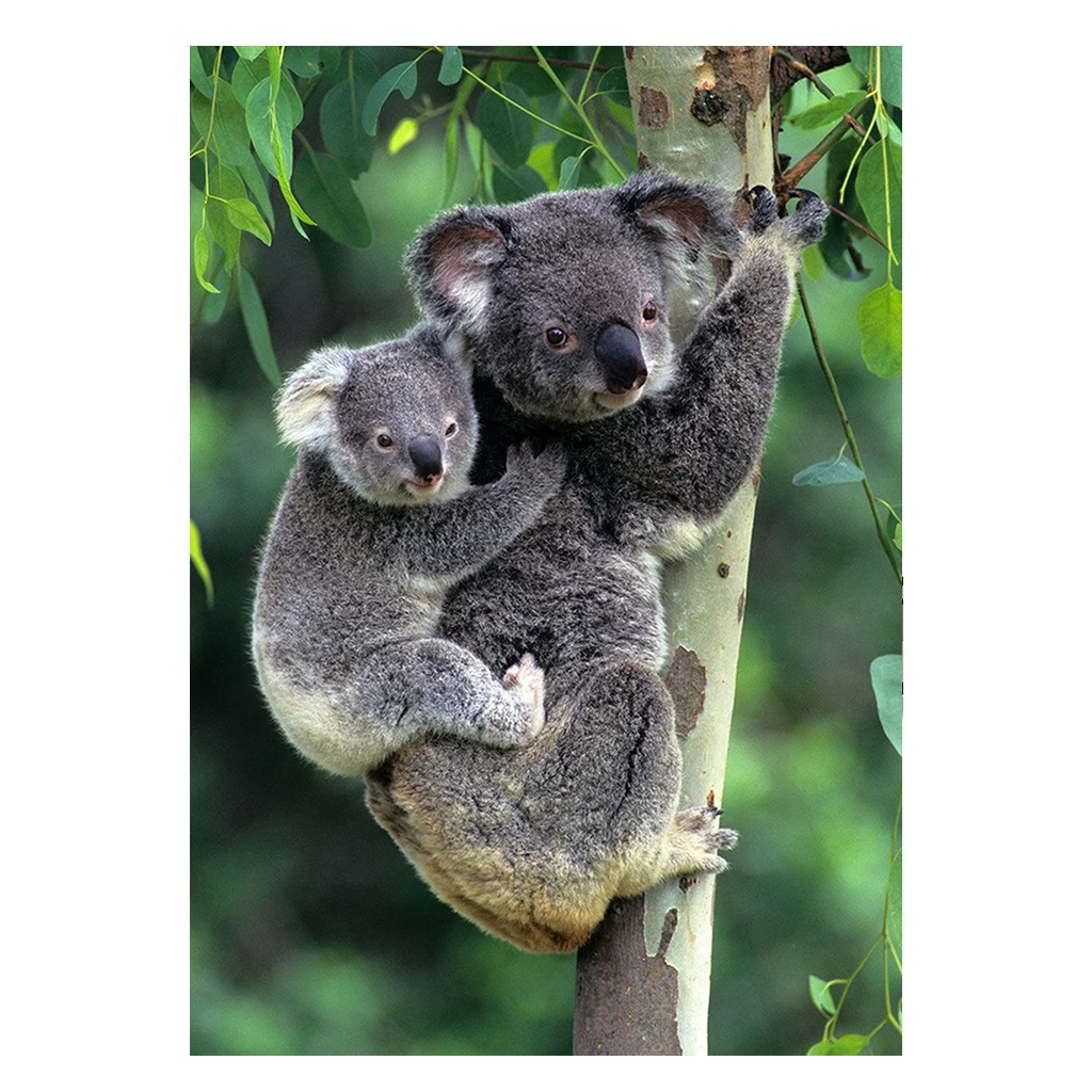 

Round Diamond Painting 5D DIY Animal Koala Diamond Embroidery Cross Stitch Kit Handmade Gift Home Decoration