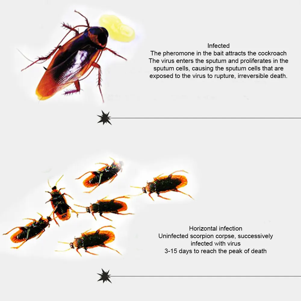 Инсектицидная приманка для тараканов твердая 10 г Кухонное средство уничтожения