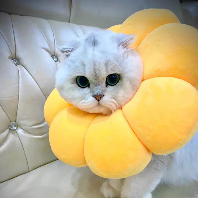 Модная игрушка для домашних животных маленького фардоу корги собака/кошка