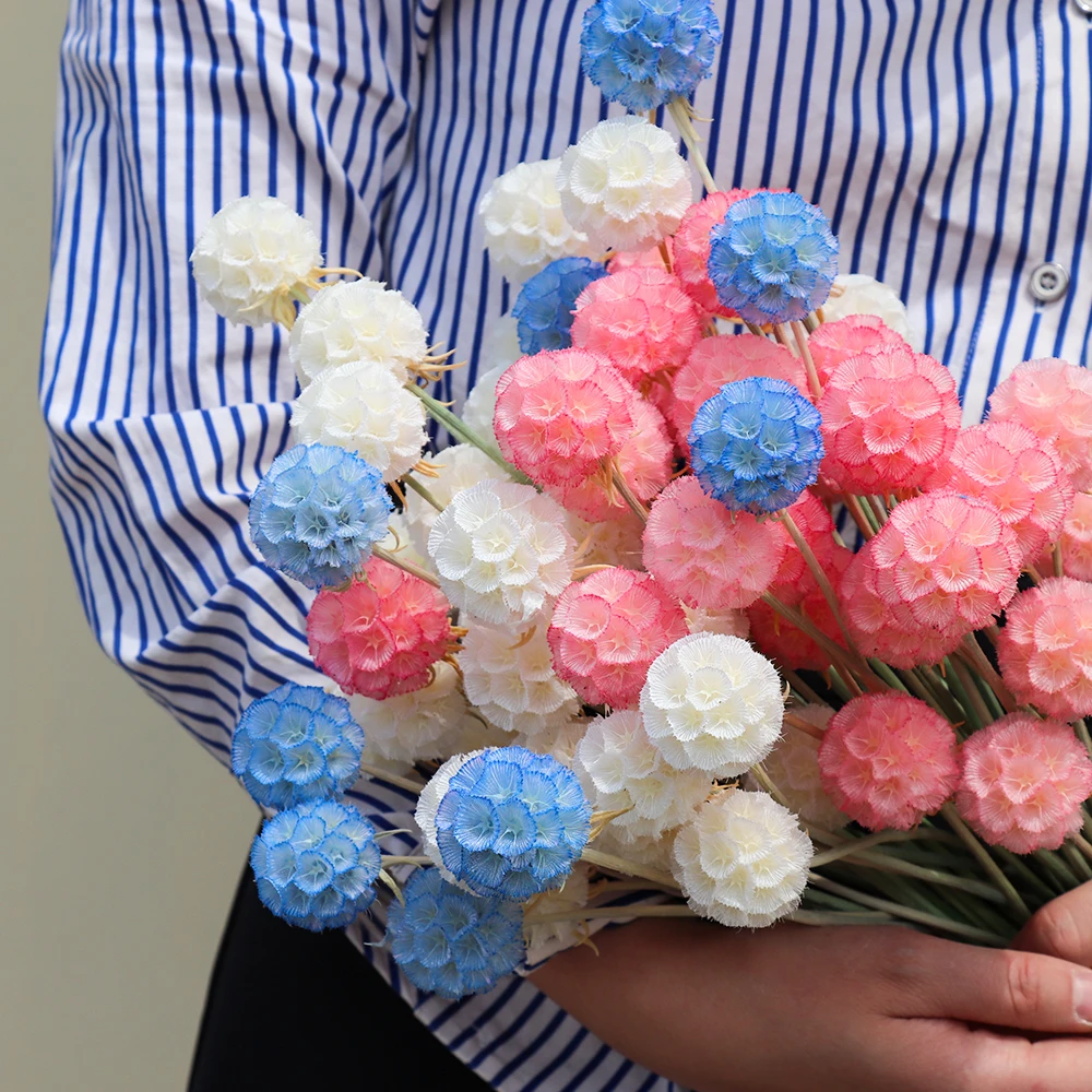 10 шт. конус сосны ветряная мельница для фруктов сохраненные цветы Рождественское