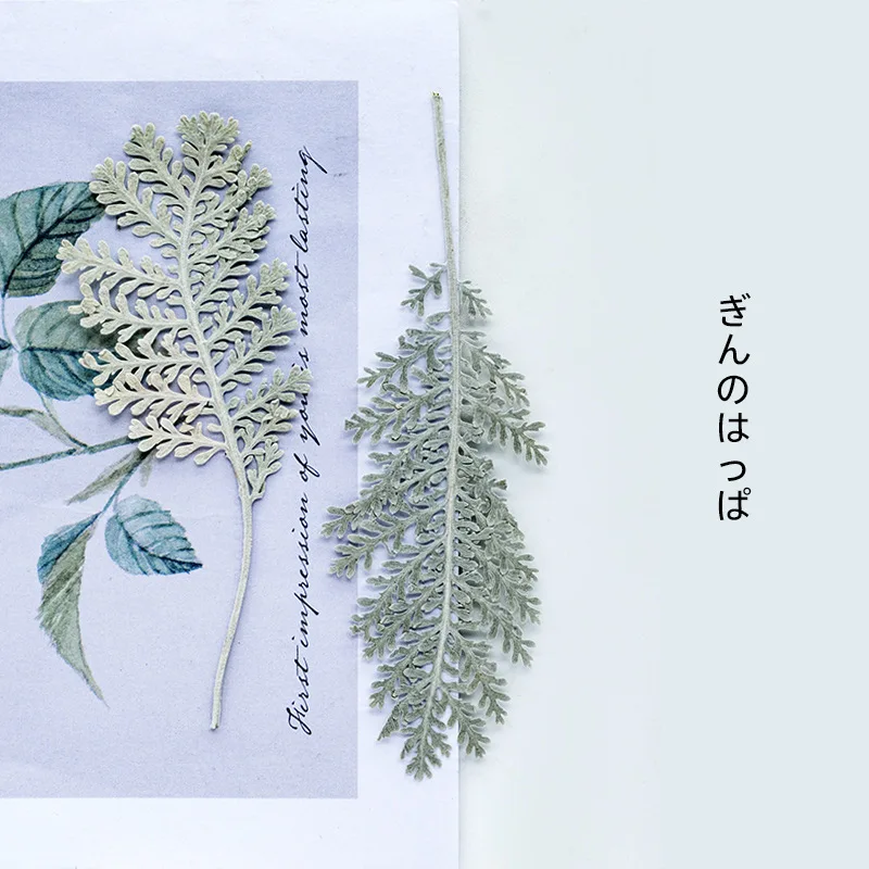 

12pcs/pack Pressed Dried Cypress Leaf Necklace Jewelry Making Craft Embossing Phone Case Bookmark Craft DIY Accessories Decor