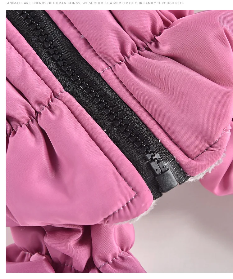 Осенне-зимняя одежда для маленьких собак ветрозащитная куртка с высокой
