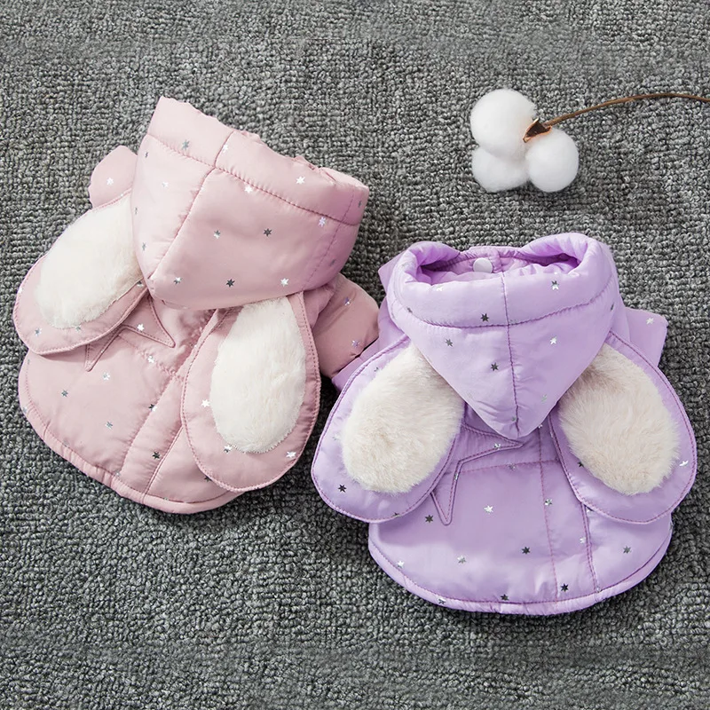 Новый костюм в стиле принцессы для собак на осень/зиму 2019 милая модная одежда с