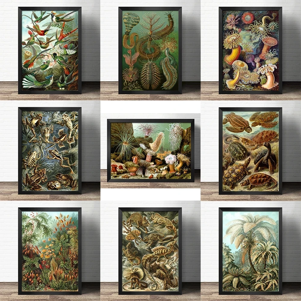 Popular science decorative painting early education world- Jurassic flora and fauna -Atlas art Retro poster kraft paper |