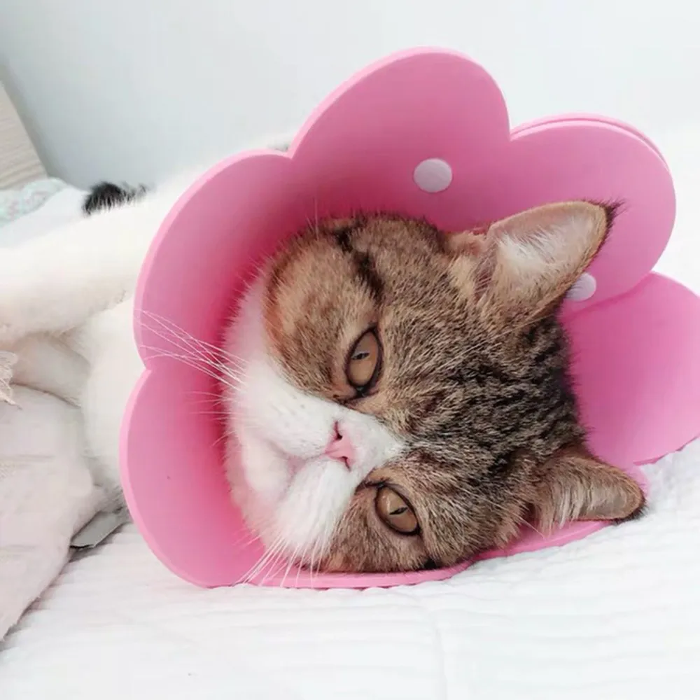 Ошейник для собак кошек с защитой от укусов круг-воротник | Дом и сад