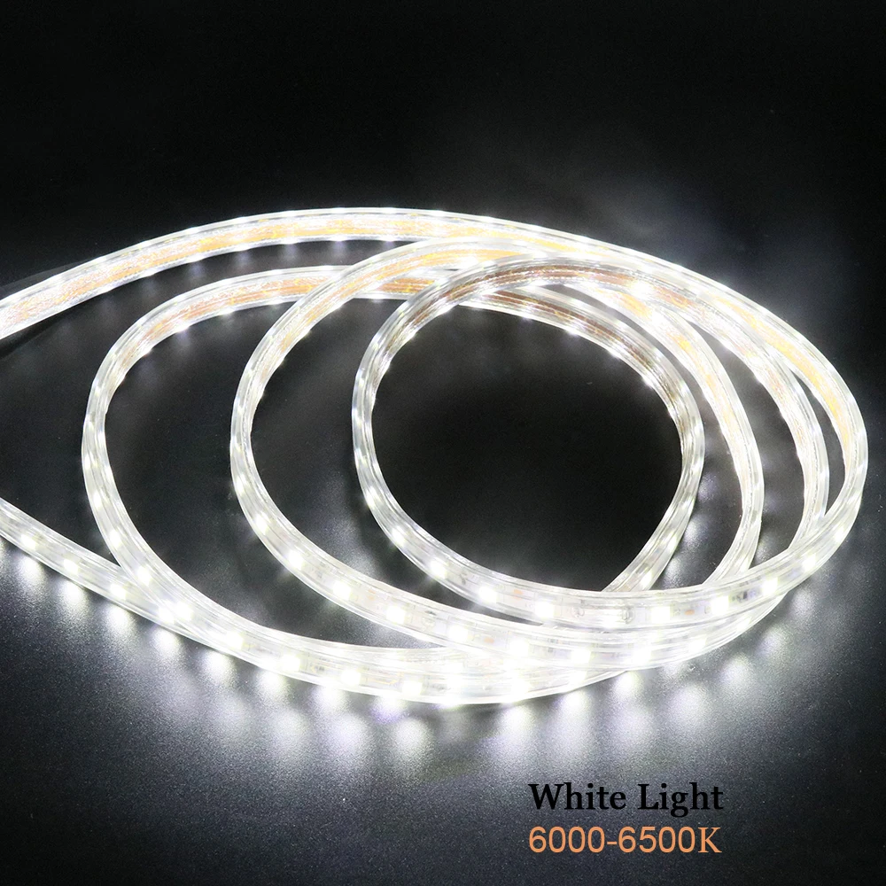 5050 LED Strip Light 220V Waterproof 60LED/m Flexible Ribbon Lights 1m 2m 3m 5m 10m 20m 50m 100m Home Decoration String Lamp | Освещение