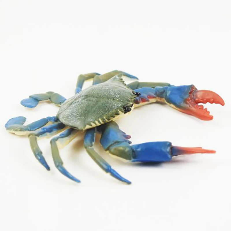 

Big Blue Foot crabs Marine Animals Sea For Gift Educational Props Action Figures Hot Simulation Crab model Photograph Props