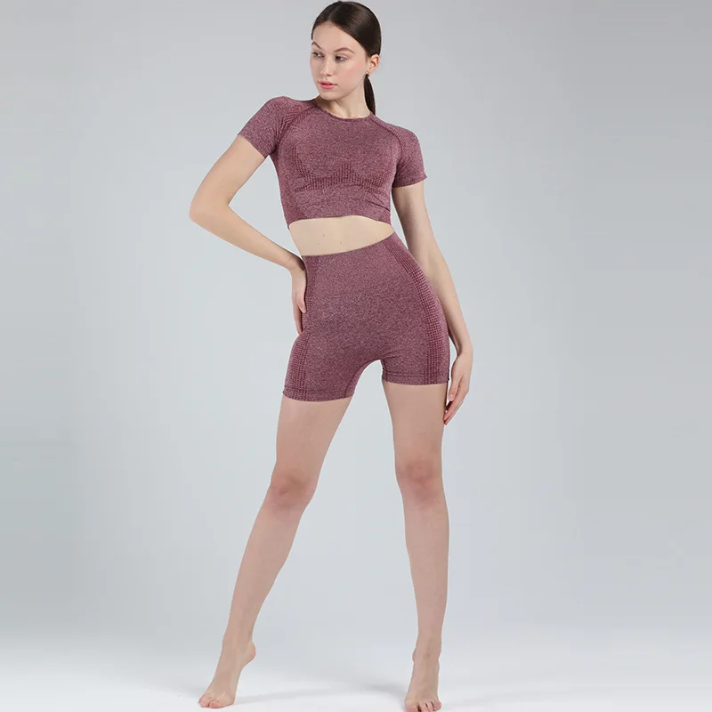 

Seamless Yoga Set women 2-piece Shorts and Short Sleeves High Waist Tummy Yoga Suit Breathable Sports Suit Fitness Clothes