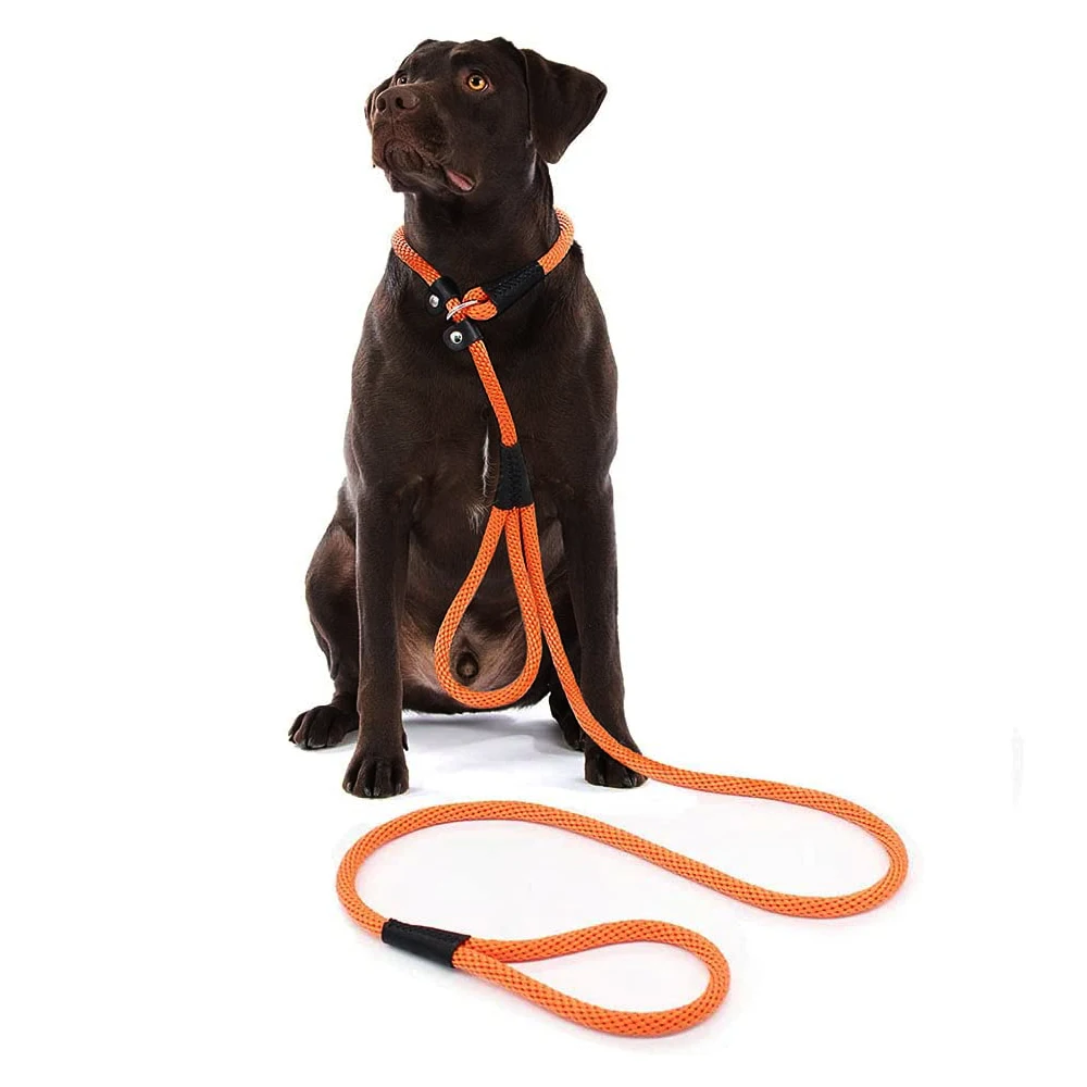 

6FT Dog Leash 2 Handles Traffic Leashes Heavy Duty Rope Slip Lead Extra Control Safety Training Leashes for Large and Medium Dog