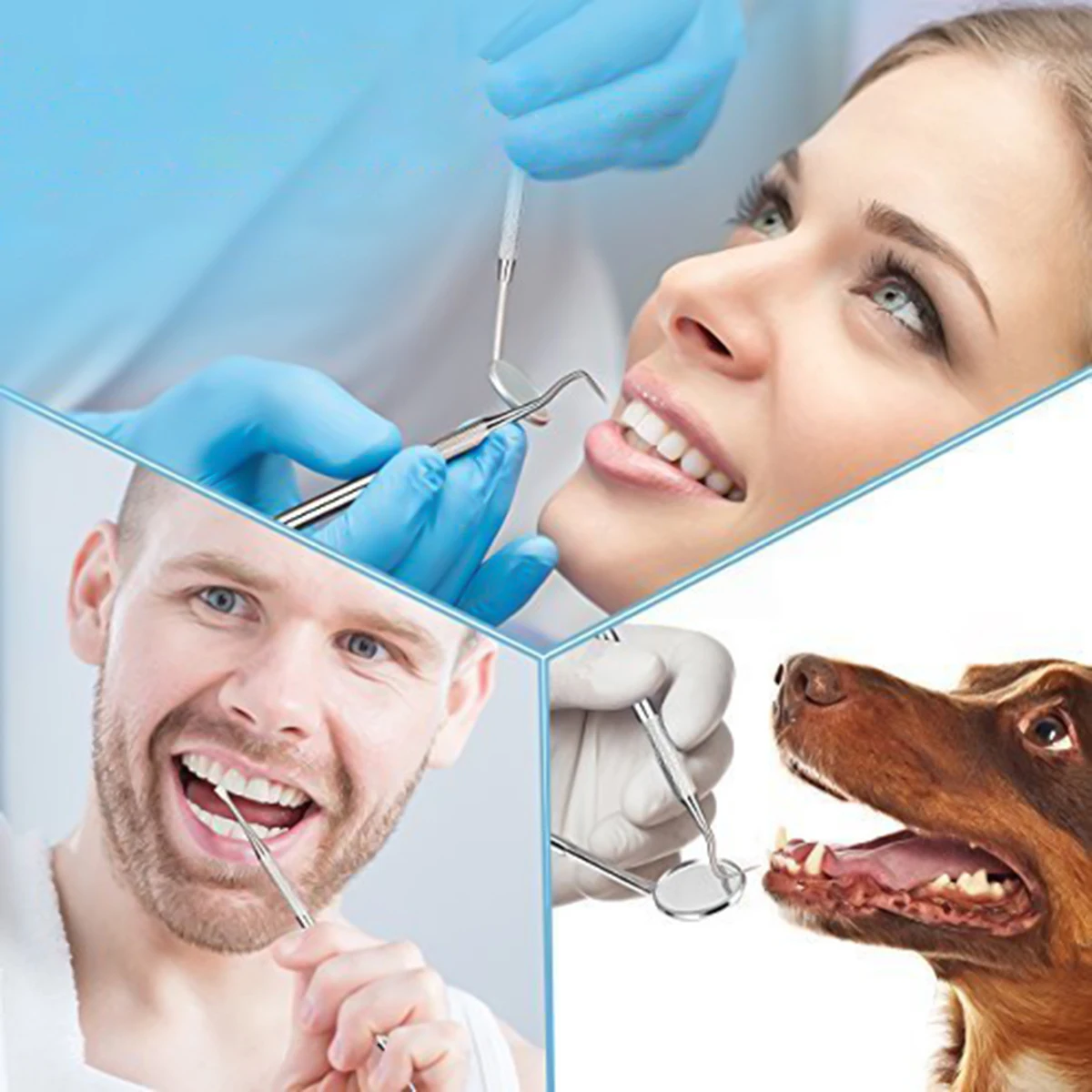 8 шт. набор инструментов для собак из нержавеющей стали чистки зубов ухода за