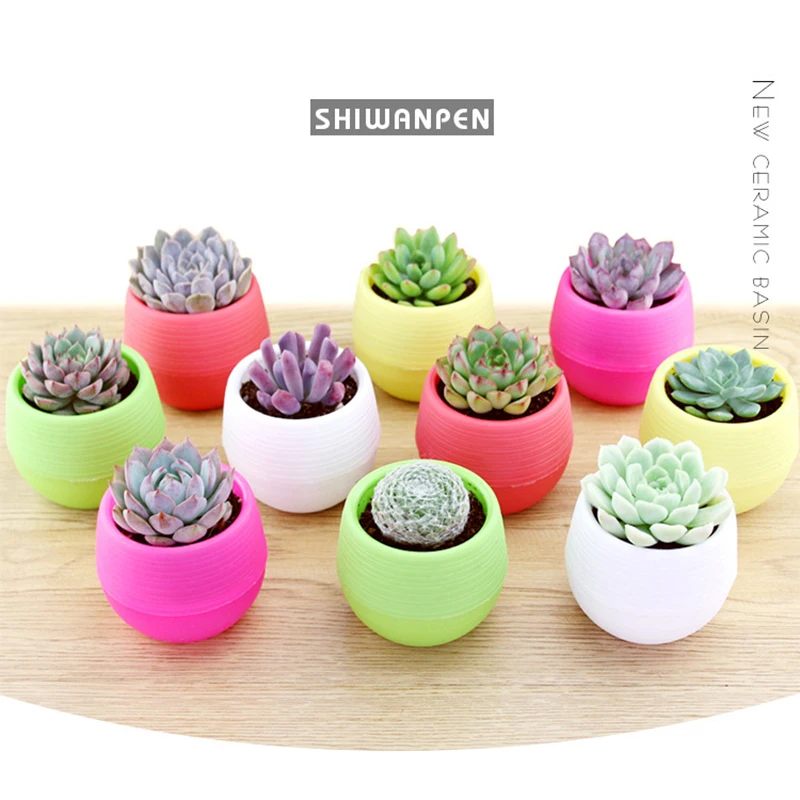 

Mini Flower Pots Colourful Round Plastic Plant Flower Pot Garden Home Office Decor Plastic Nursery Pots Succulents Pot Planter