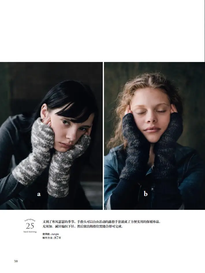 

Let's Knit Series Casual Autumn and Winter Knitting Book Lace Pattern Nordic Pullover Sweater Weaving Tutorial Book