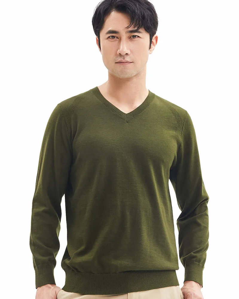 Zhili Men's V-Neck Solid Long Sleeve Knit Thin Sweater
