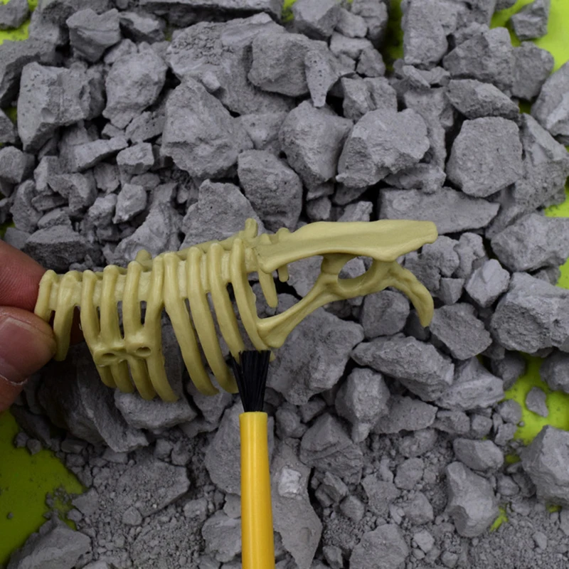 Имитация Динозавра ископаемый потенциал археологические раскопки динозавр