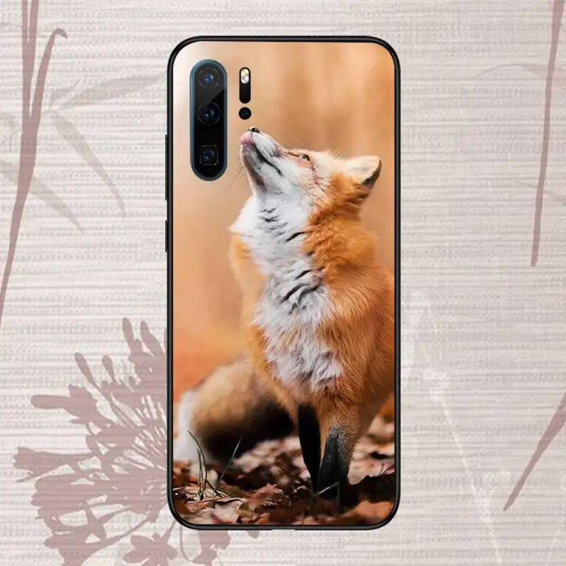 

Red Fox Phone Case Funda For Huawei P9 P10 P20 P30 Lite 2016 2017 2019 plus pro P smart