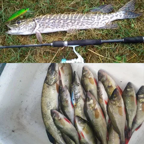 1 шт. гольян рыболовная приманка для щуки 11 см 10 5 г окуляр плавание на глубине