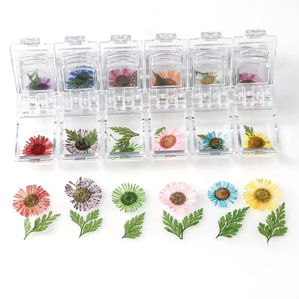 1 коробка натуральных сушеных цветов настоящие растения из смолы силиконовая