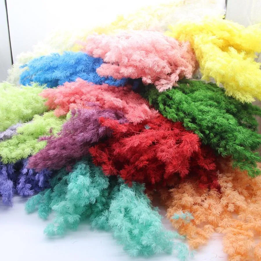 Оптовая продажа 10 пряди ков консервированных цветов спаржи Myriocladus для свадьбы