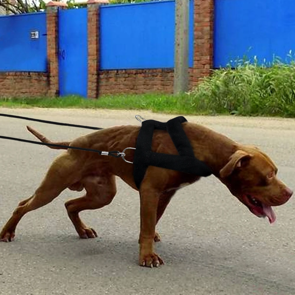 

120cm Dog Weight Pulling Leash Pet Training Leashes Rope Durable for Pitbull Medium Large Dog Pet Training Products Dog Training