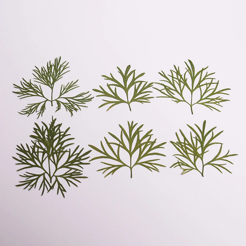 12 шт. сушеные зеленые листья эпоксидная смола | Дом и сад