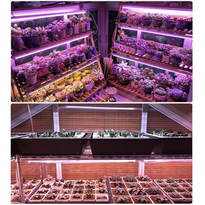 

LED Grow Light 50W 100W Full Spectrum Indoor Greenhouse lamp full Grow Lights For Medicinal Plants Flower Vegetable AC220V