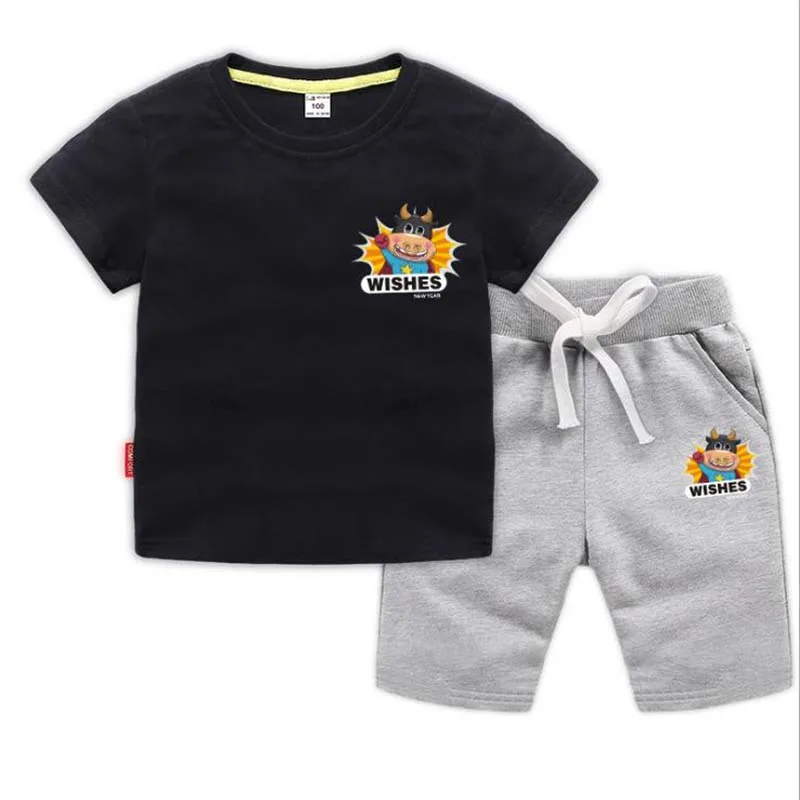 

Летний комплект из 2 предметов для мальчиков и девочек, детская одежда, футболки, костюмы, хлопковая футболка с коротким рукавом + штаны, Детс...