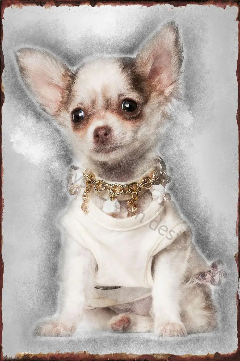 

Жестяная ретро-табличка с изображением щенка чихуахуа, винтажная металлическая вывеска, Настенный декор для художественного клуба, мужско...