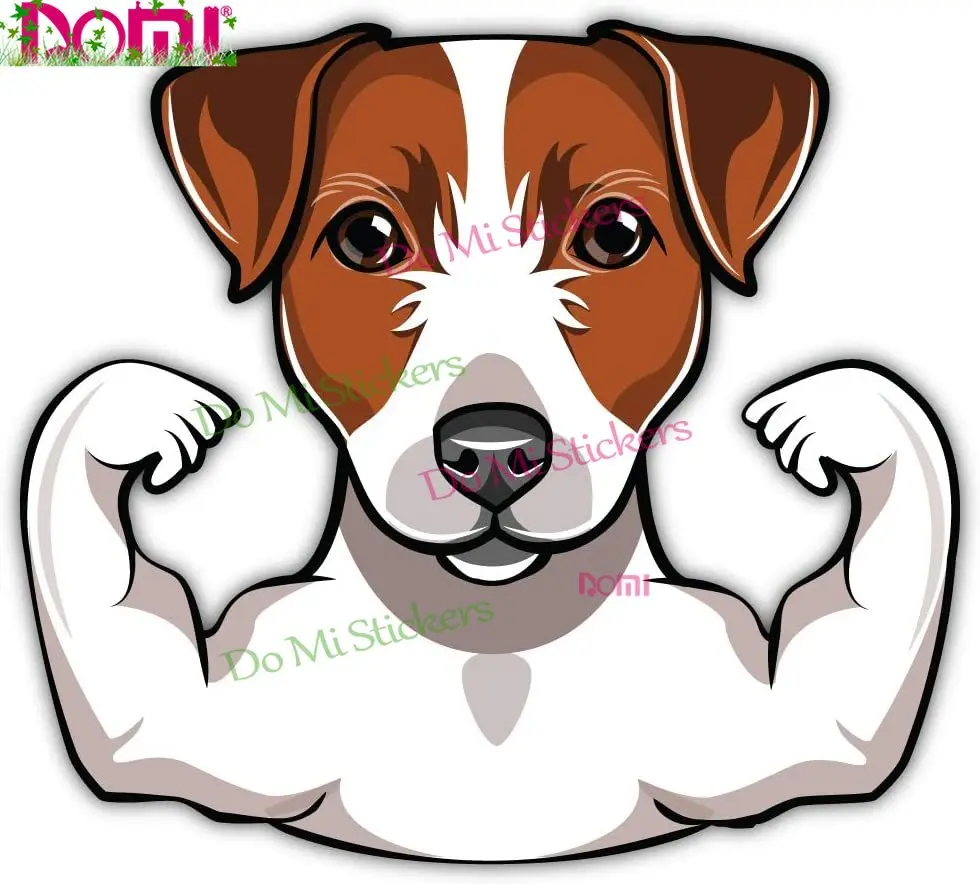 

Interesting SkyBug Muscular Jack Russell Terrier Bumper Sticker Vinyl Art Decal Stickers for Car Truck Van Window Bike Laptop
