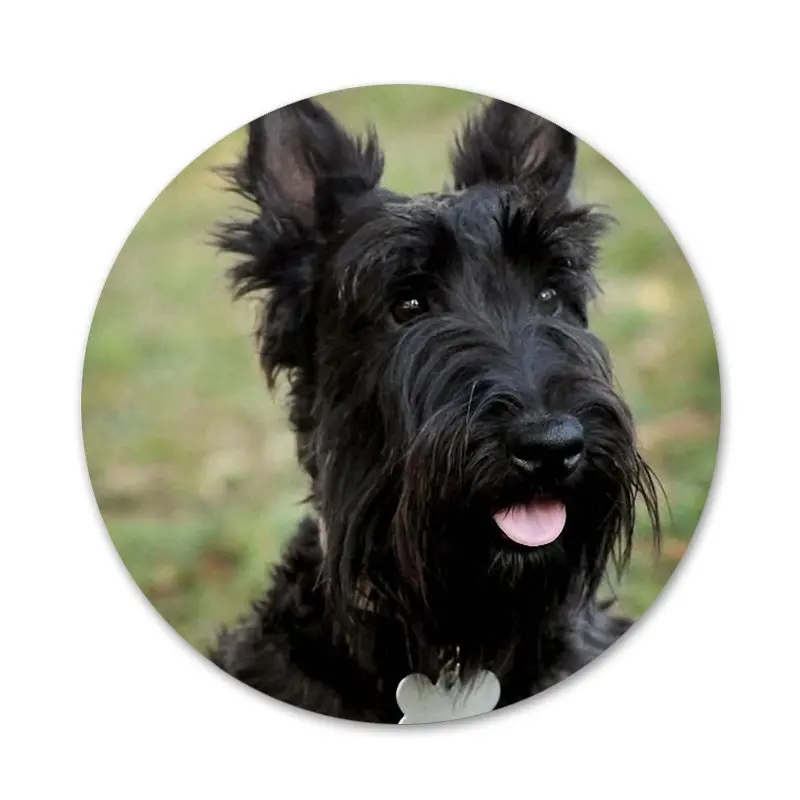 Шотландского терьера Собака Щенок значок брошь заколка аксессуары для одежды