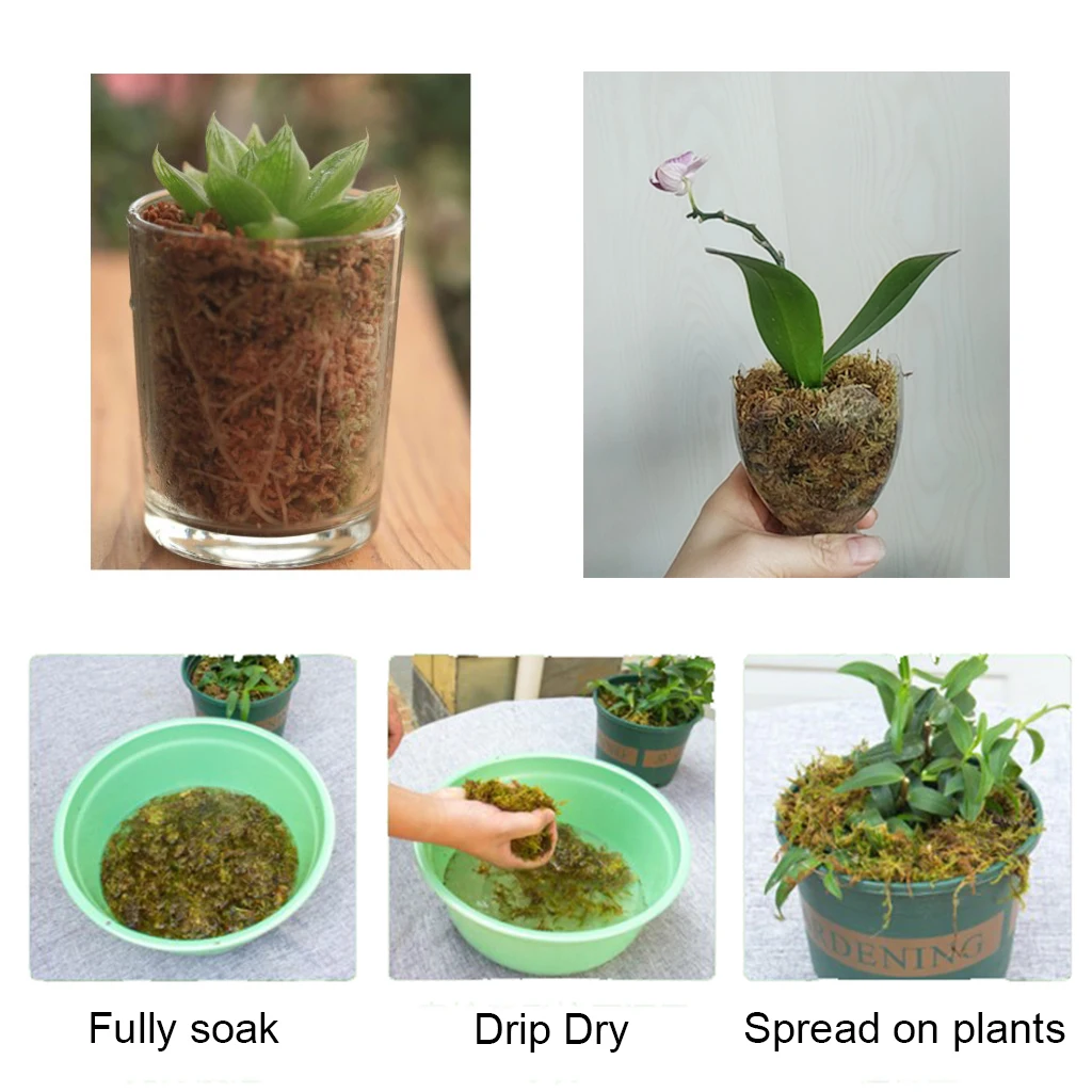 Террариум для рептилий мох Sphagnum Sphagni Мосс постельное белье ящерицы черепахи