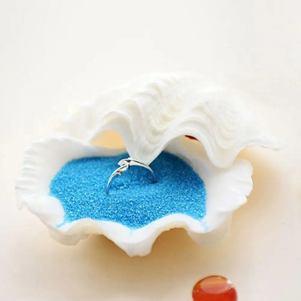 

Shells Natural conch ornaments fish aquarium fruit plate pot scallop flower ashtray shellfish couple I6U5