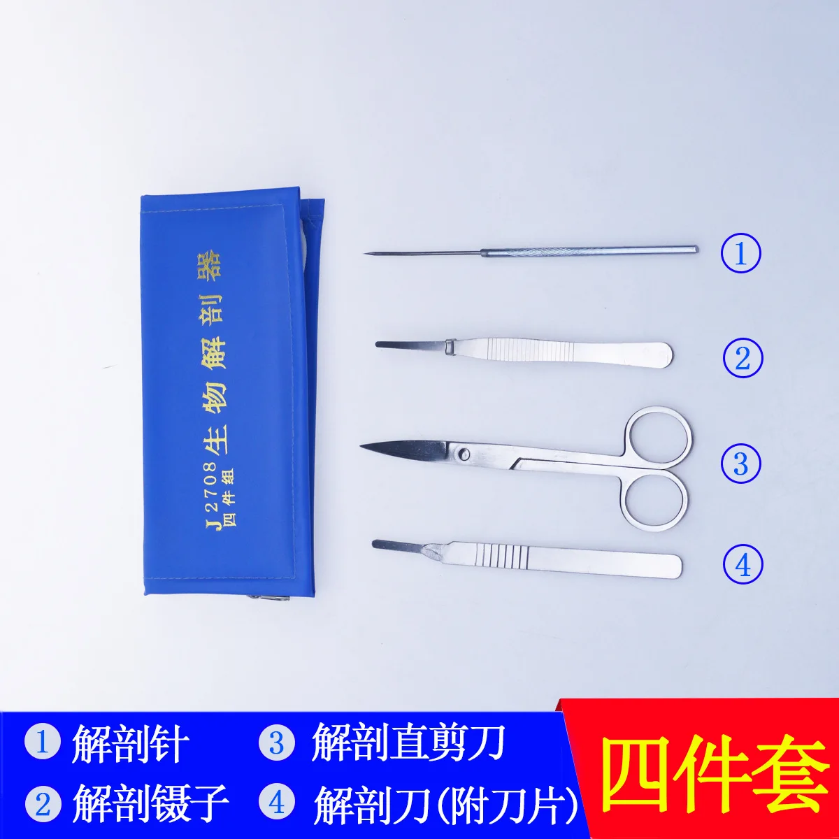 

Anatomical 7-piece set teaching instrument Biological Anatomy 7-piece set student bioanatomy biology teaching