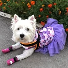 Женская юбка для кошек и собак с цветами, платья для собак Bichon для маленьких собак, летняя одежда для щенков, чихуахуа