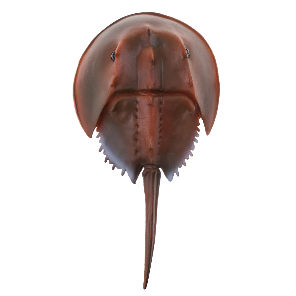 

Sea Animal Figurine Model Figure Kid Nature Educational Toys