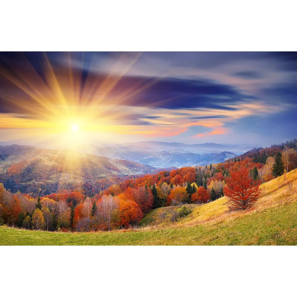 

ZHISUXI Vinyl Custom Photography Backdrops Prop Light landscape Theme Photography Background 200309HV-07