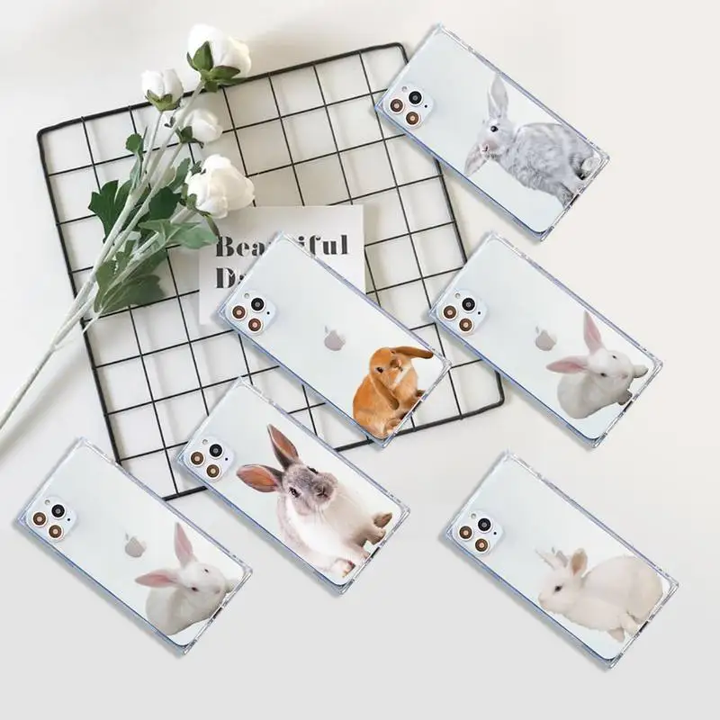 

bunny cute animal Phone Case Transparent for iPhone 7 8 11 12 se 2020 mini pro X XS XR MAX Plus high quality etui shell