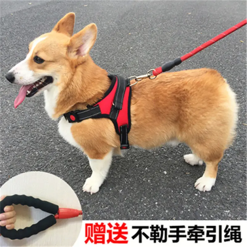 

Pet Dog Soft Adjustable Harness Reflective Dog Chest Strap Walk Out Vest for Medium Dog Chest Harness Dog Vest Pets Accessories