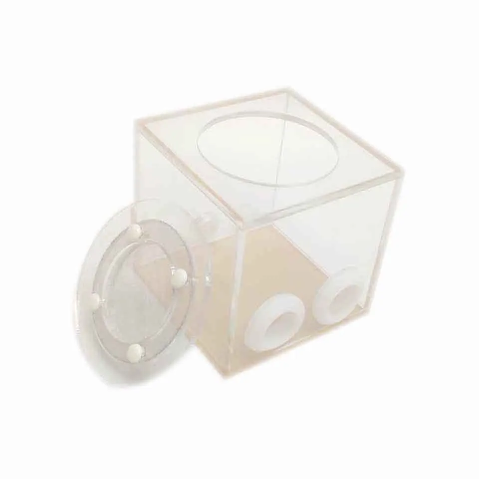 Double Tube Ant Farm Plastic Transparent Reptile Terrarium For Young Colonies messors Insect Supplies