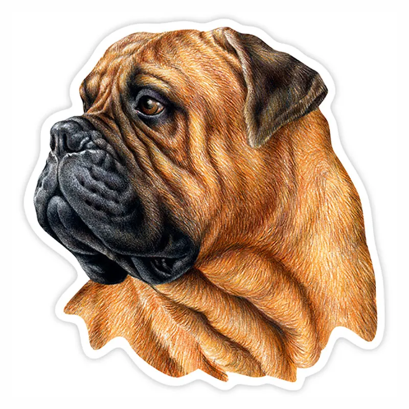 

Various Sizes Self-Adhesive Decal Bullmastiff Dog Car Sticker Waterproof Auto Decors on Bumper Rear Window