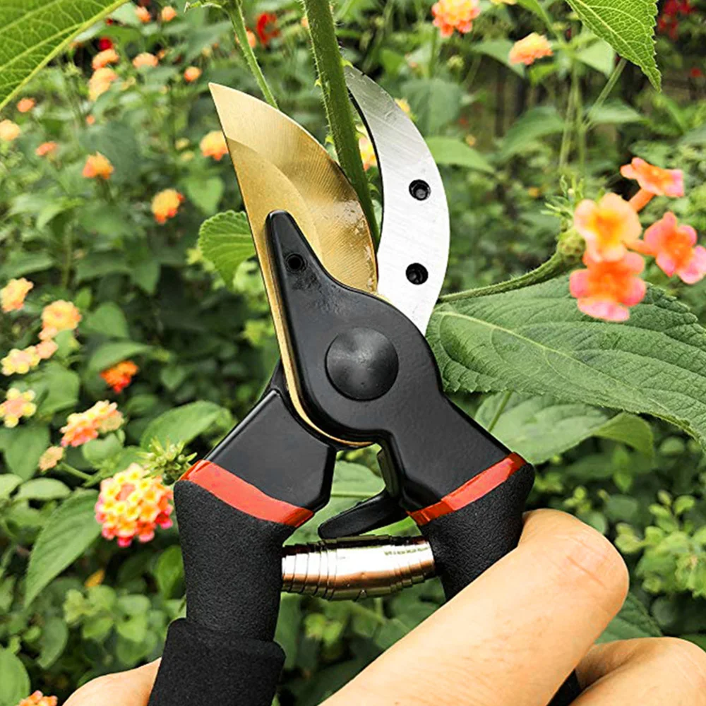 

Professional Secateurs Premium Titanium Bypass Pruning Shears , Hand Pruners, Garden Clip, Hedge Shears garden pruner