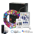 СВЕТОДИОДНАЯ Гирлянда WS2812B RGB IC, цветная лампа мечты с WIFI, пиксельным контроллером, фотографияGoogle Home, Рождественское украшение, 5 в постоянного тока