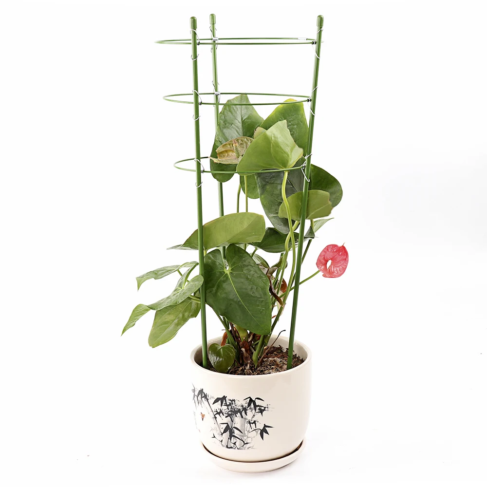 

Plant Support Ring Pillar Potted Vine Frame Gardening Flower Pot Bracket Gardening Supplies Bracket Tool
