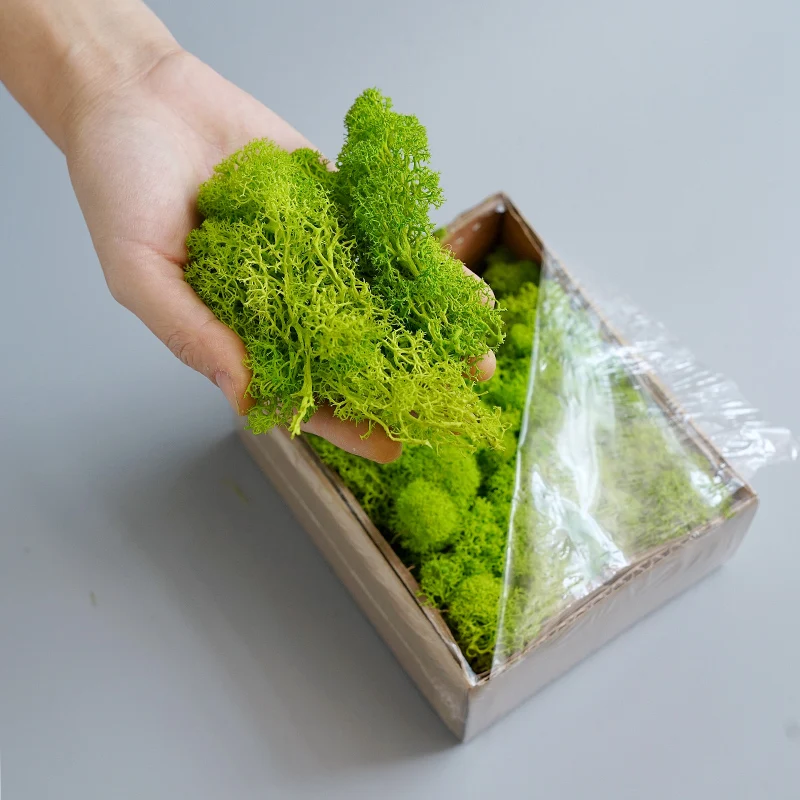 

Colorful Artificial Green Plant Immortal Fake Flower Moss Grass Home Living Room Decorative Wall DIY Flower Mini Accessories