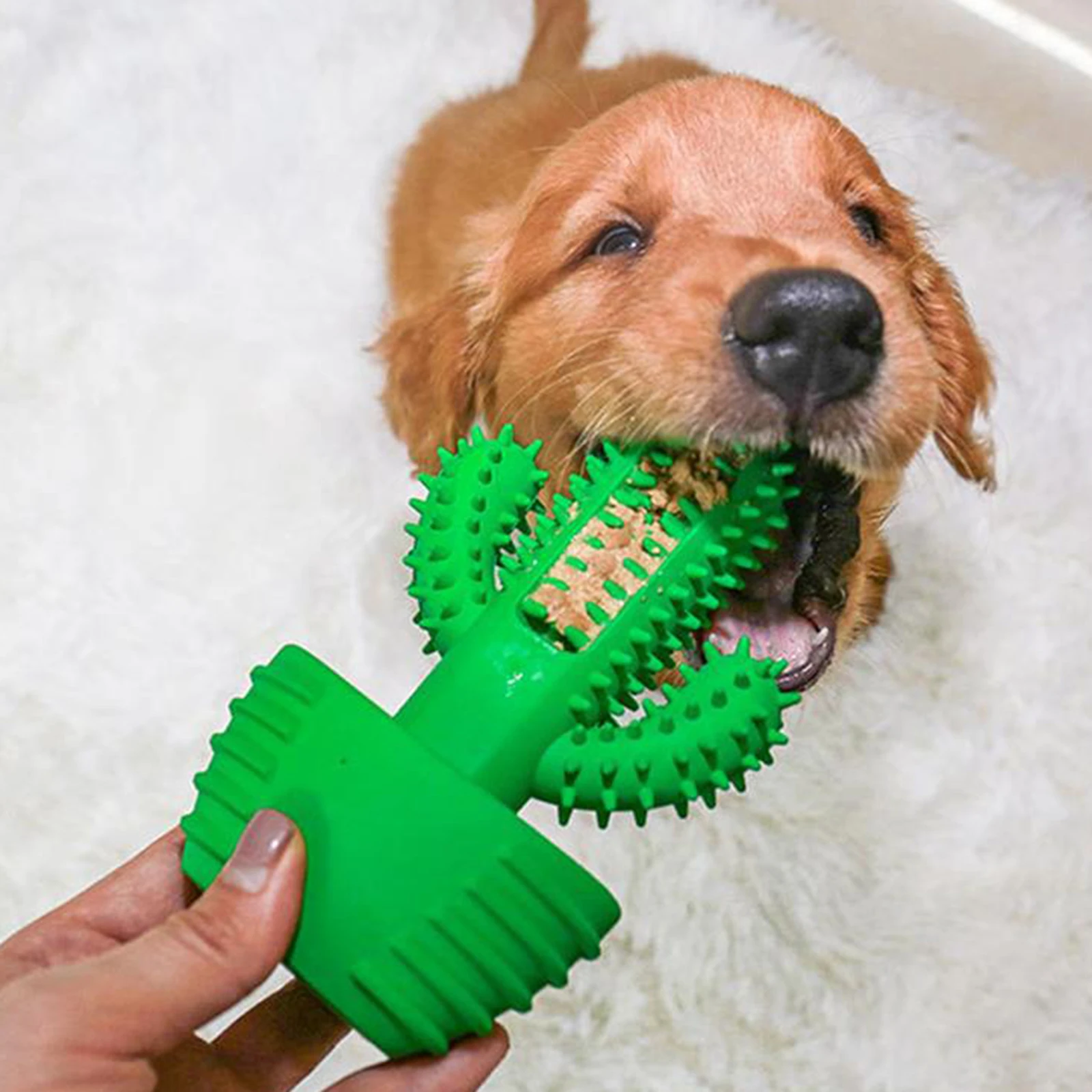 

Dog Chew Toothbrush for Aggressive Chewers Toothbrush Stick for Care