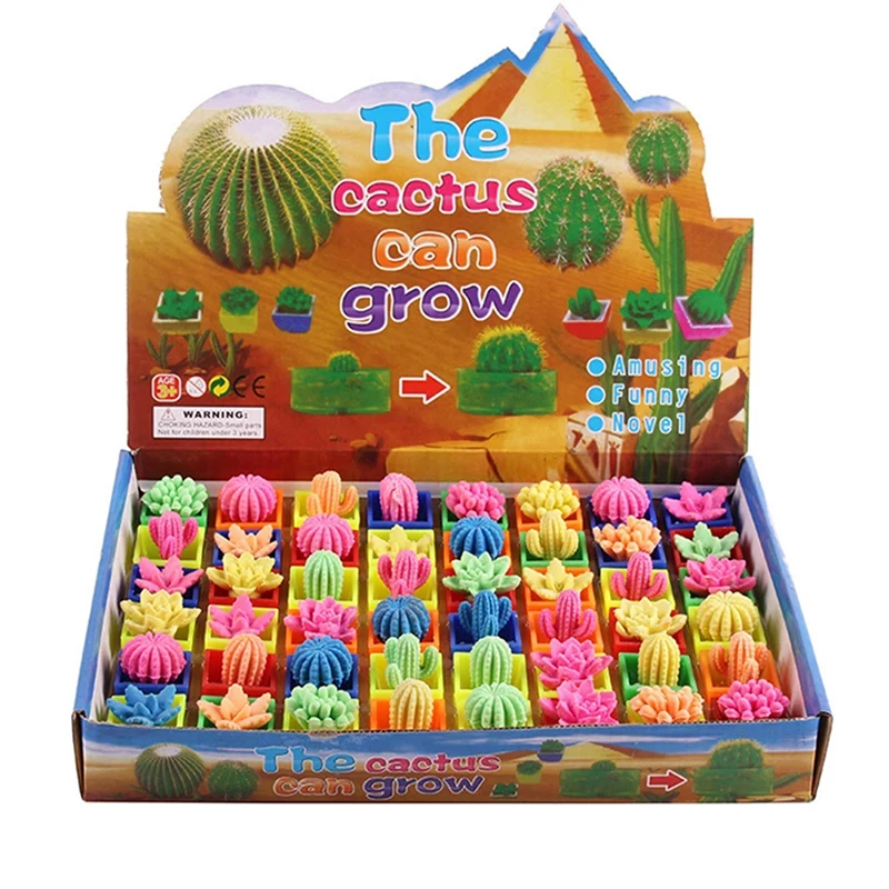 

Magic Plant Flowers Growing In Water Cactus Toys Soaking Can Grow Expansion