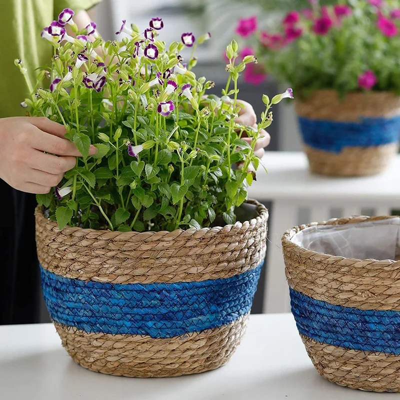 

Seagrass Plant Basket Set of 3 Woven Basket Indoor Outdoor Storage Flower Pot Cover Home Decor Plant Container